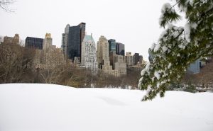 New York City skyline and Central Park after snow